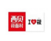 戰略合作伙伴